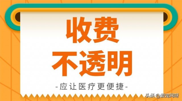 为什么宠物医院收费那么贵看看这个就明白了